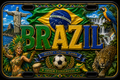 Placas para autos